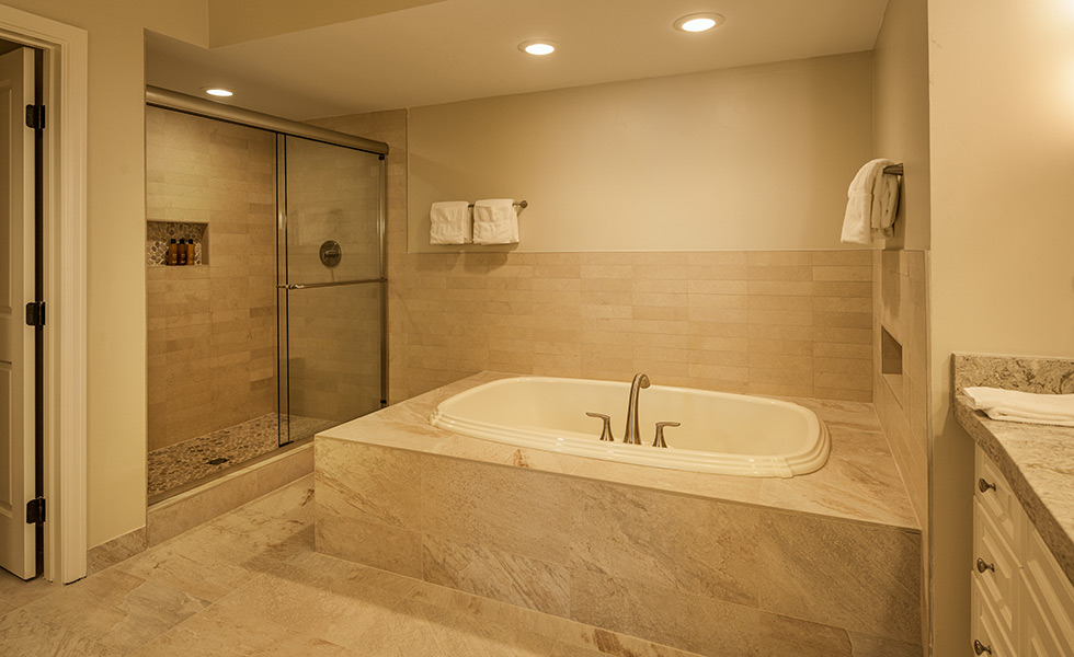 Executive Suite Shower