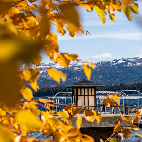 Cozy Retreat Package