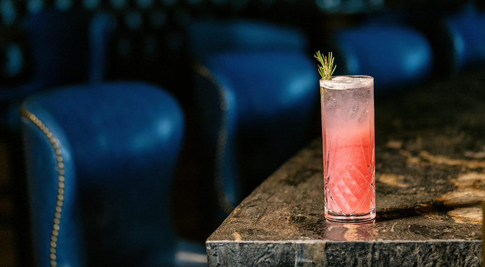 Pomegranate Gin Fizz
