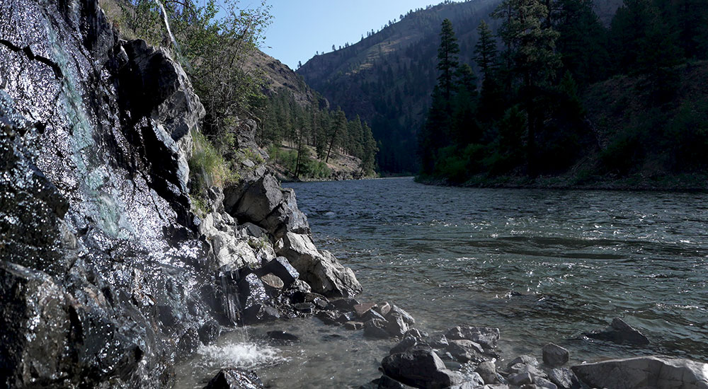 Thomas Creek