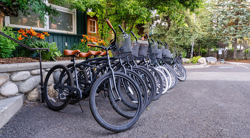 Cruiser Bikes
