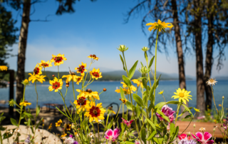 McCall Idaho in Summer
