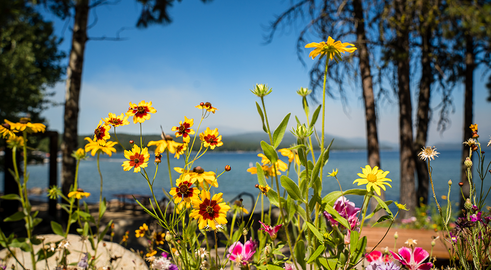 McCall Idaho in Summer
