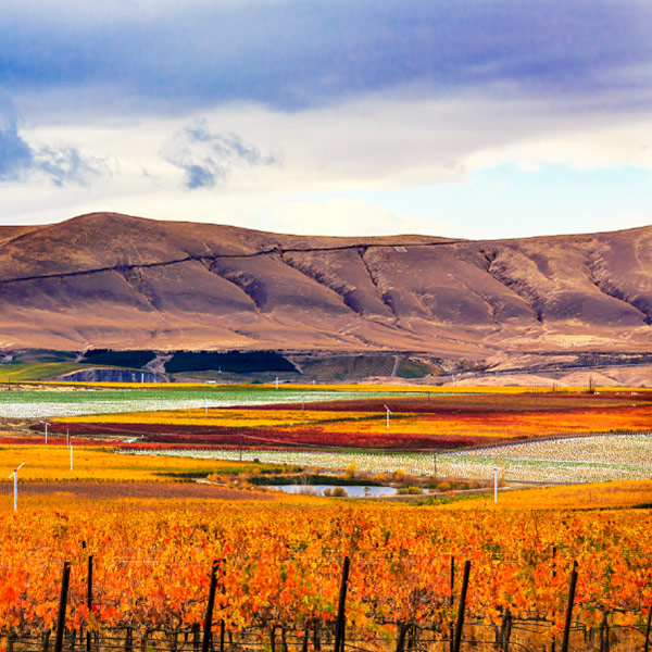 2026-Fall-Wine-Dinner-side