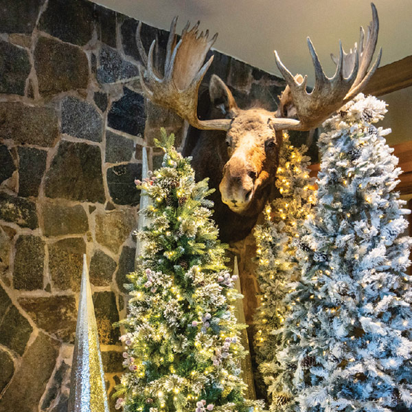 2026-Xmas-Dinner-Moose